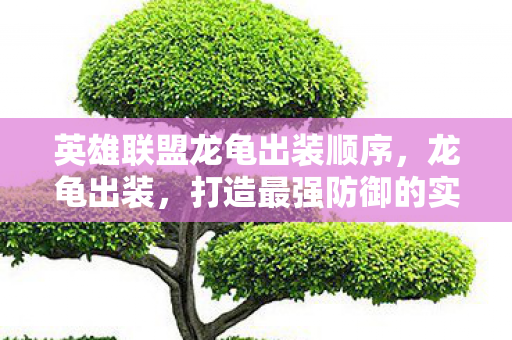 英雄联盟龙龟出装顺序，龙龟出装，打造最强防御的实战指南