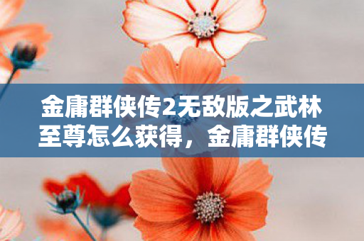 金庸群侠传2无敌版之武林至尊怎么获得,金庸群侠传2无敌版之武林至尊 金庸群侠传2无敌版之武林至尊怎么获得,金庸群侠传2无敌版之武林至尊