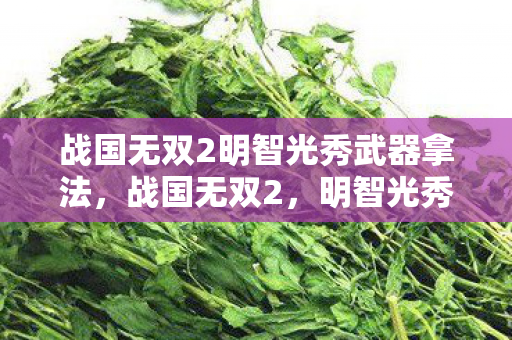 战国无双2明智光秀武器拿法，战国无双2，明智光秀的策略与智慧