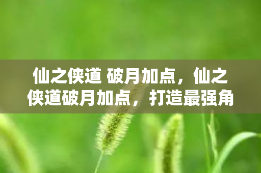 仙之侠道 破月加点，仙之侠道破月加点，打造最强角色的关键策略