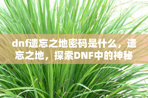 dnf遗忘之地密码是什么，遗忘之地，探索DNF中的神秘领域