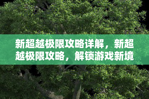 新超越极限攻略详解，新超越极限攻略，解锁游戏新境界的实战指南