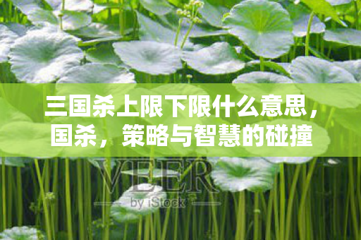 三国杀上限下限什么意思，国杀，策略与智慧的碰撞