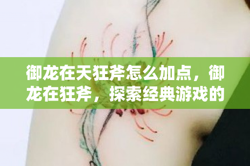 御龙在天狂斧怎么加点，御龙在狂斧，探索经典游戏的魅力与传承