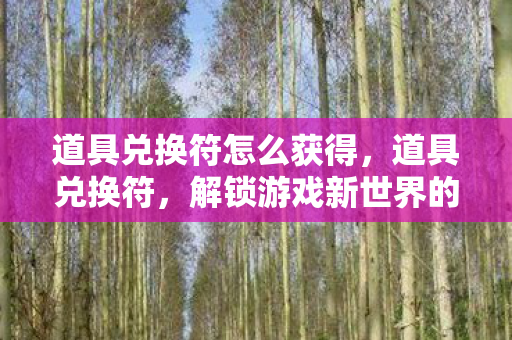 道具兑换符怎么获得，道具兑换符，解锁游戏新世界的神秘钥匙