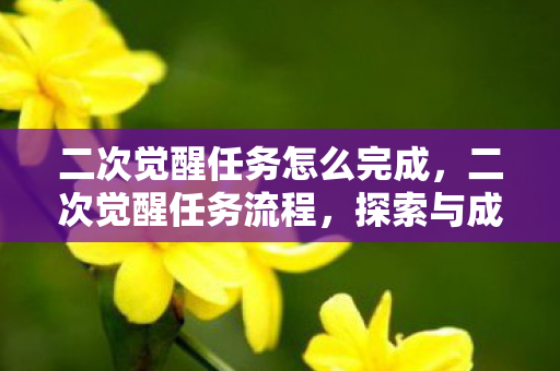 二次觉醒任务怎么完成，二次觉醒任务流程，探索与成长的奇幻之旅