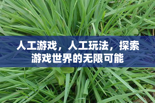 人工游戏，人工玩法，探索游戏世界的无限可能