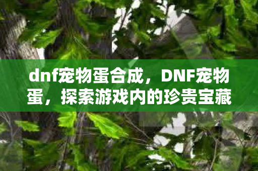 dnf宠物蛋合成，DNF宠物蛋，探索游戏内的珍贵宝藏