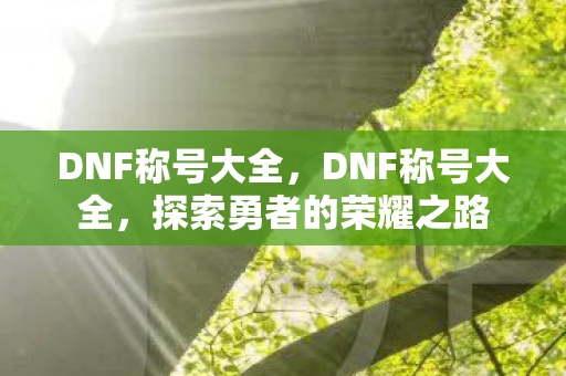 DNF称号大全，DNF称号大全，探索勇者的荣耀之路
