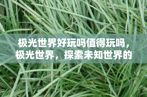 极光世界好玩吗值得玩吗，极光世界，探索未知世界的奇妙之旅