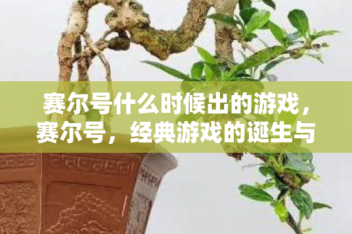 赛尔号什么时候出的游戏，赛尔号，经典游戏的诞生与成长