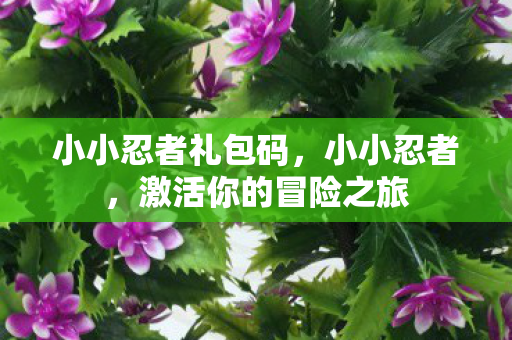 小小忍者礼包码，小小忍者，激活你的冒险之旅