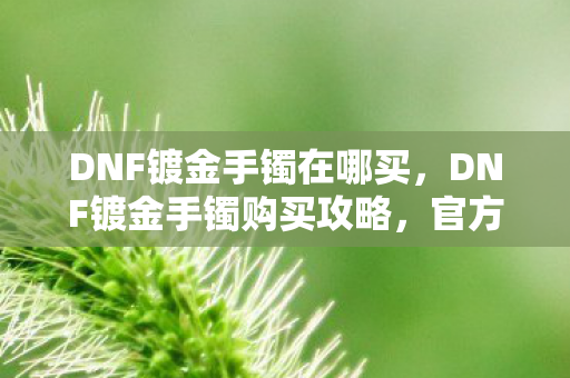 DNF镀金手镯在哪买，DNF镀金手镯购买攻略，官方渠道与性价比考量