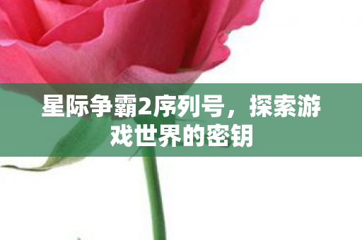 星际争霸2序列号，探索游戏世界的密钥