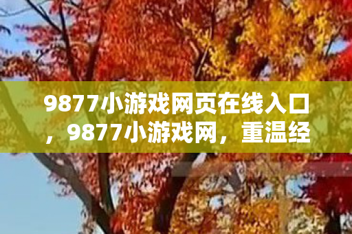 9877小游戏网页在线入口，9877小游戏网，重温经典，尽享游戏乐趣