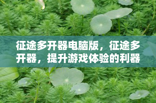 征途多开器电脑版，征途多开器，提升游戏体验的利器