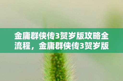 金庸群侠传3贺岁版攻略全流程，金庸群侠传3贺岁版攻略，打造最强江湖之旅