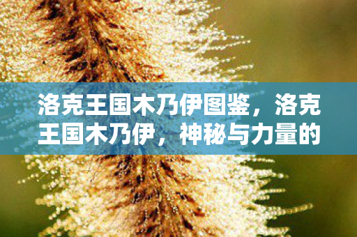 洛克王国木乃伊图鉴，洛克王国木乃伊，神秘与力量的化身