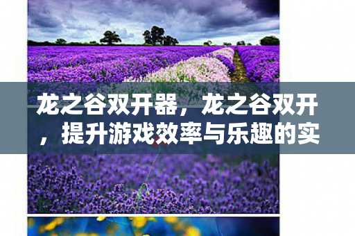 龙之谷双开器，龙之谷双开，提升游戏效率与乐趣的实用指南