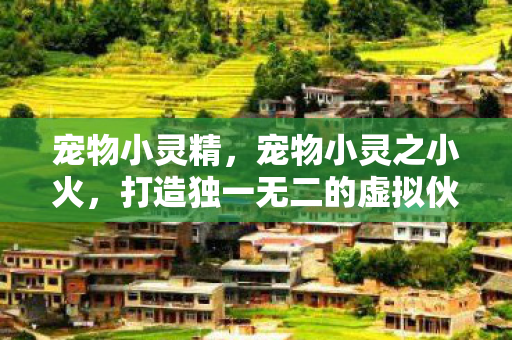 宠物小灵精，宠物小灵之小火，打造独一无二的虚拟伙伴
