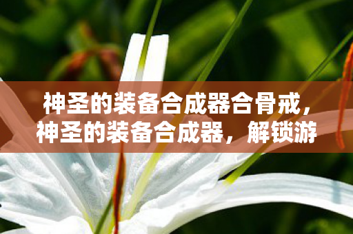 神圣的装备合成器合骨戒，神圣的装备合成器，解锁游戏世界的无限可能