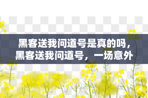 黑客送我问道号是真的吗，黑客送我问道号，一场意外的网络奇缘