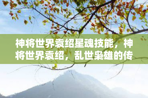 神将世界袁绍星魂技能，神将世界袁绍，乱世枭雄的传奇故事