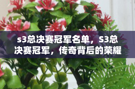 s3总决赛冠军名单，S3总决赛冠军，传奇背后的荣耀与挑战