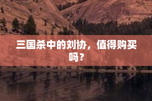 三国杀中的刘协，值得购买吗？