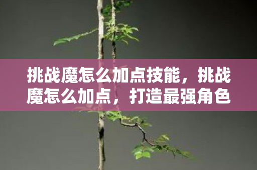 挑战魔怎么加点技能，挑战魔怎么加点，打造最强角色的关键策略