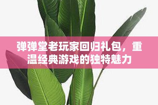 弹弹堂老玩家回归礼包，重温经典游戏的独特魅力