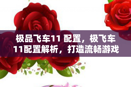 极品飞车11 配置，极飞车11配置解析，打造流畅游戏体验的硬件需求