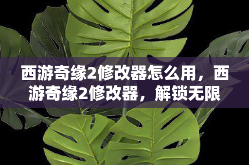 西游奇缘2修改器怎么用，西游奇缘2修改器，解锁无限可能的冒险之旅
