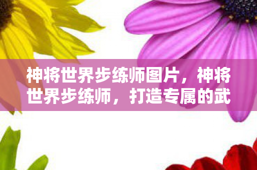 神将世界步练师图片，神将世界步练师，打造专属的武将成长之路