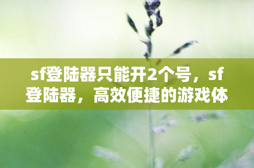 sf登陆器只能开2个号，sf登陆器，高效便捷的游戏体验新选择