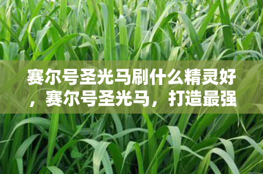 赛尔号圣光马刷什么精灵好，赛尔号圣光马，打造最强战斗力的秘密