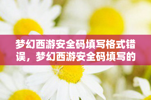梦幻西游安全码填写格式错误，梦幻西游安全码填写的重要性与注意事项
