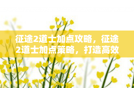 征途2道士加点攻略，征途2道士加点策略，打造高效战斗道士