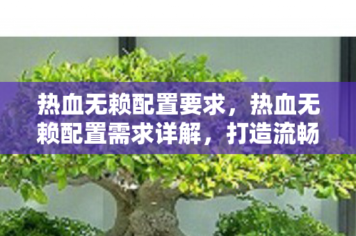 热血无赖配置要求，热血无赖配置需求详解，打造流畅游戏体验