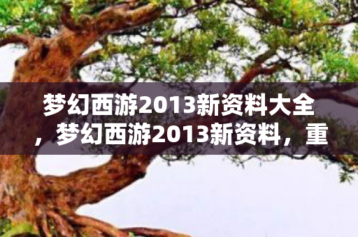 梦幻西游2013新资料大全，梦幻西游2013新资料，重温经典，探索未知