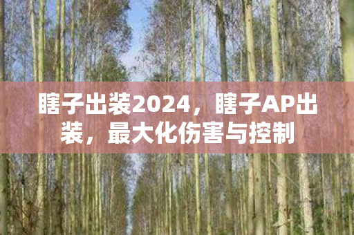 瞎子出装2024，瞎子AP出装，最大化伤害与控制