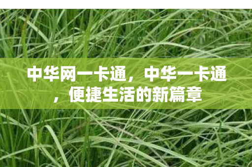 中华网一卡通，中华一卡通，便捷生活的新篇章