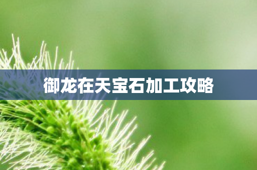御龙在天宝石加工攻略