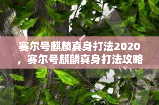 赛尔号麒麟真身打法2020，赛尔号麒麟真身打法攻略