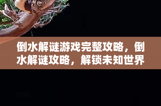 倒水解谜游戏完整攻略，倒水解谜攻略，解锁未知世界的奇妙之旅
