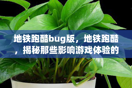 地铁跑酷bug版，地铁跑酷，揭秘那些影响游戏体验的bug