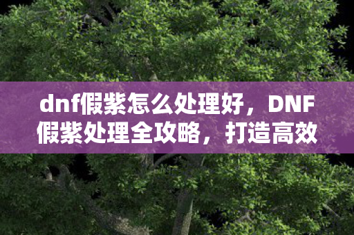 dnf假紫怎么处理好，DNF假紫处理全攻略，打造高效装备处理流程