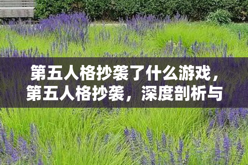 第五人格抄袭了什么游戏，第五人格抄袭，深度剖析与反思