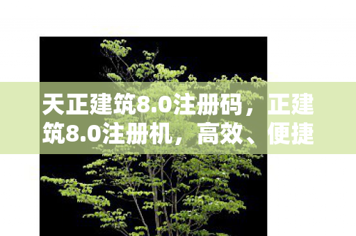 天正建筑8.0注册码，正建筑8.0注册机，高效、便捷的建筑软件激活工具