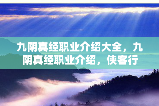 九阴真经职业介绍大全，九阴真经职业介绍，侠客行